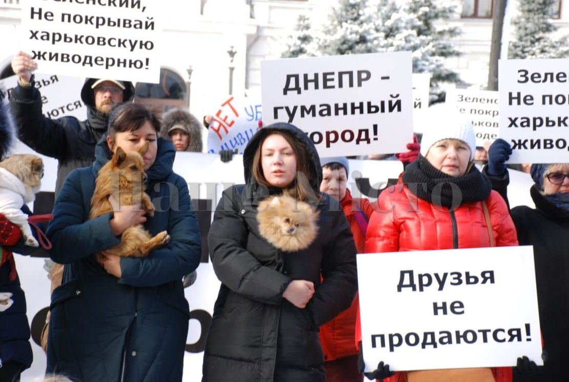 В Днепре возле ОГА прошел митинг (Фото, видео). Новости Днепра