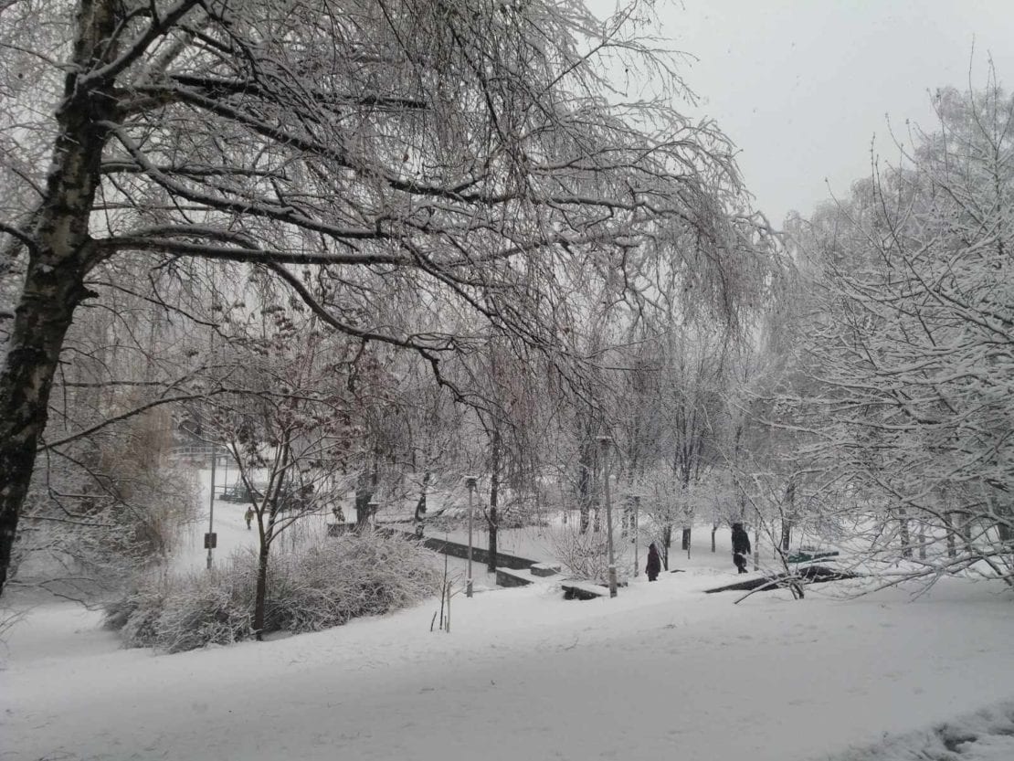 Город заметает второй день подряд (Фото)