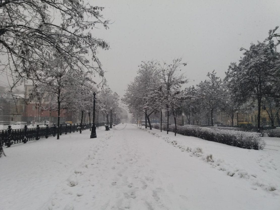 Город заметает второй день подряд (Фото)