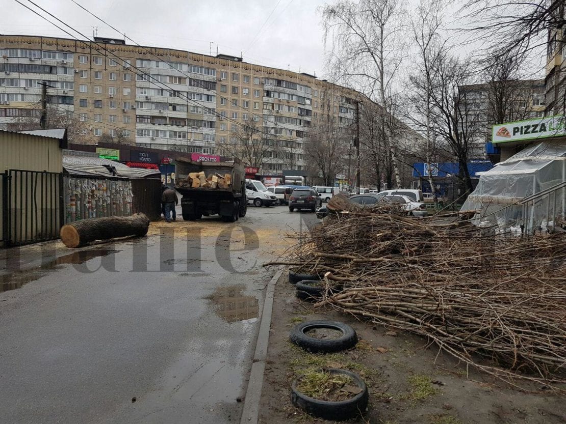 Лучше сидите дома: начался деревопад. Новости Днепра