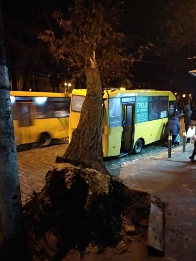 Огромное дерево рухнуло на маршрутку (Фото). Новости Днепра