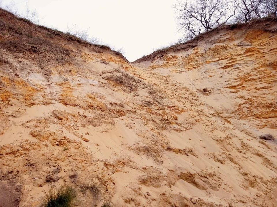 Под Днепром люди уничтожают уникальную балку. Новости Днепра