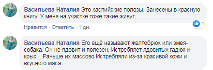 Под Днепром каспийские полозы выползли на охоту. Новости Днепра