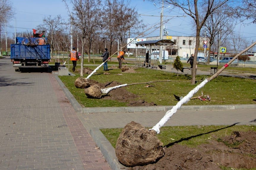 В Днепре началась весенняя посадка деревьев