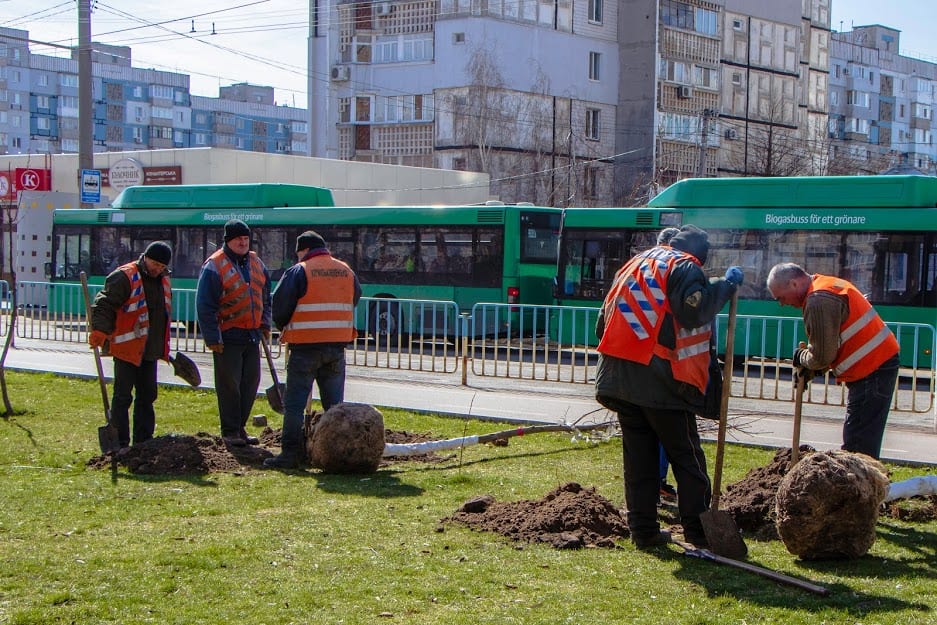 В Днепре началась весенняя посадка деревьев