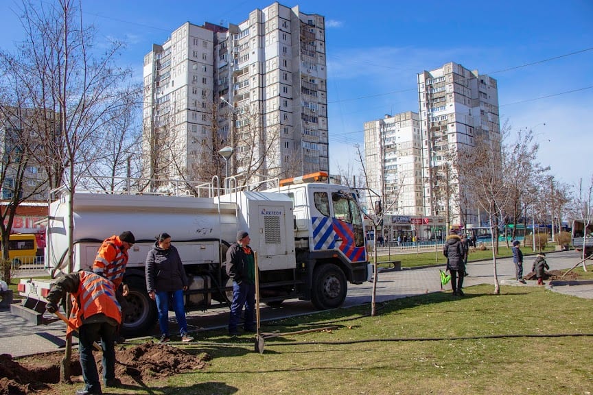 В Днепре началась весенняя посадка деревьев