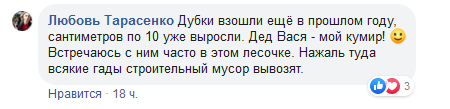 В Днепре дядя Вася сам высадил 700 деревьев. Новости Днепра