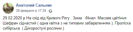 Под Днепром заметили массовое цветение первоцветов. Новости Днепра