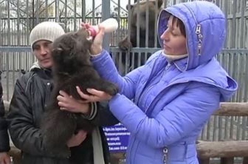Четвертое пополнение в семье звездных Потапа и Насти: подробности