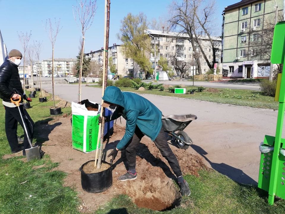 В Днепре появилась аллея памяти Саши Усачева. Новости Днепра