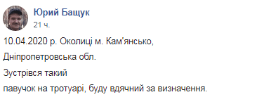 Под Днепром обнаружили ядовитого тарантула. Новости Днепра