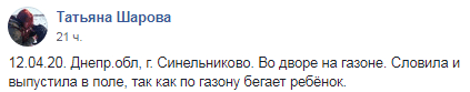 Под Днепром женщина обнаружила у себя во дворе тарантула. Новости Днепра