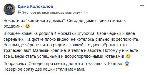 Кошкин домик на Калиновой стал роддомом. Новости Днепра