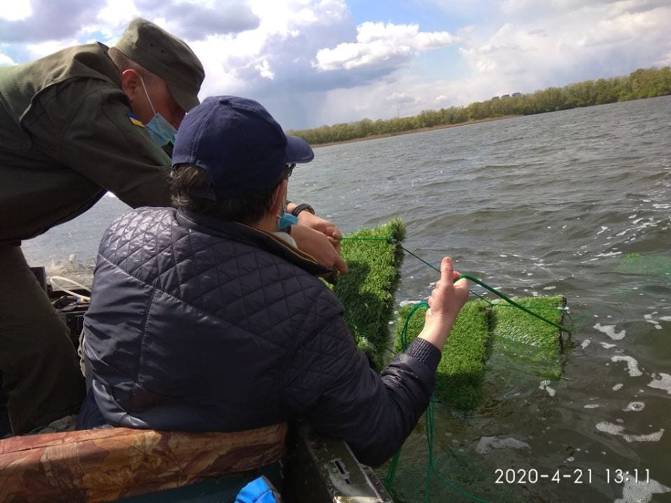 В Днепровском водохранилище утопили гнезда любви.Новости Днепра