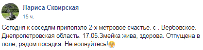 Под Днепром во двор заползла огромная змея (Фото). Новости Днепра