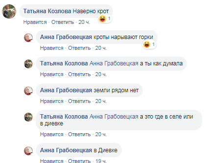 В Днепре тарантулы напугали горожан. Новости Днепра