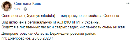 Под Днепром заметили крайне редкого грызуна Соню. Новости Днепра