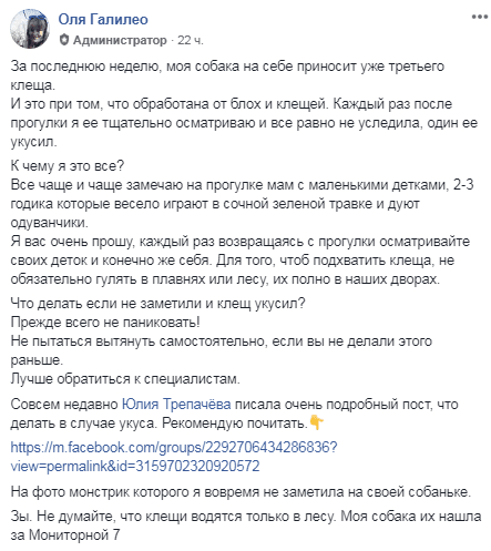 В Днепре клещи атакуют прямо во дворах. Новости Днепра