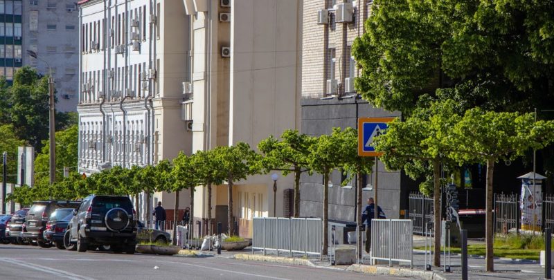 В Днепре закончилась весенняя высадка деревьев