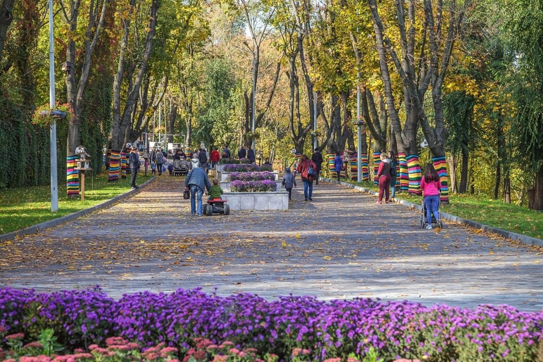 Тут буде місто сад: як Дніпро перетворюється на зелену столицю України (Фото)