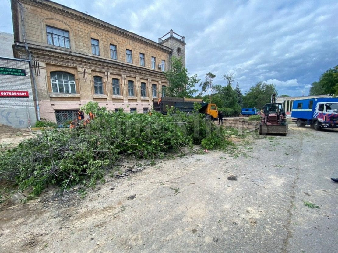 В Днепре на площади Шевченко высадят 65-ть 20-летних дубов. Новости Днепра