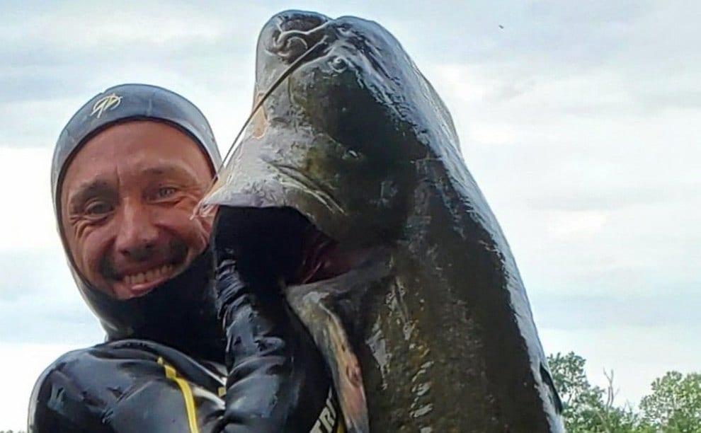 В Днепре рыбак поймал огромного сома (Фото). Новости Днепра