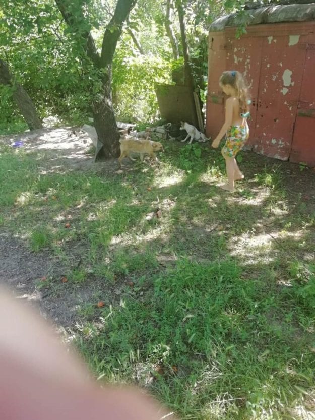 В Днепре девочка спасла выброшенных щенков и пристроила их в приют