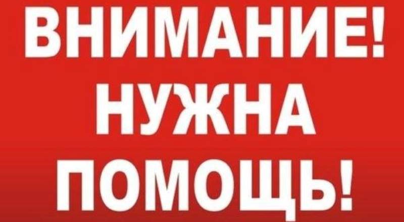 В Днепре на Победе гонки на трицикле закончились трагедией: ребенок - в реанимации, водитель - в бегах