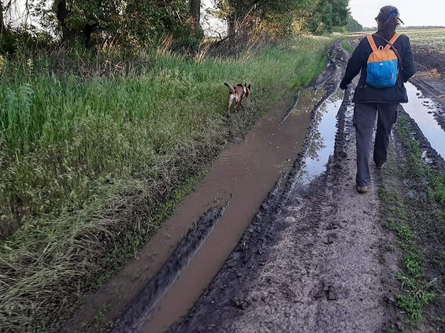 Под Днепром почти неделю ищут 81-летнюю бабушку. Новости Днепра