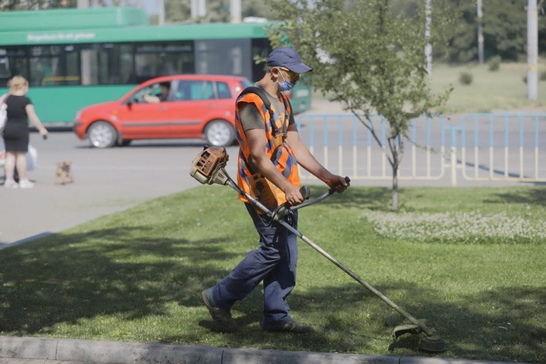 Як у Дніпрі борються з карантинними рослинами