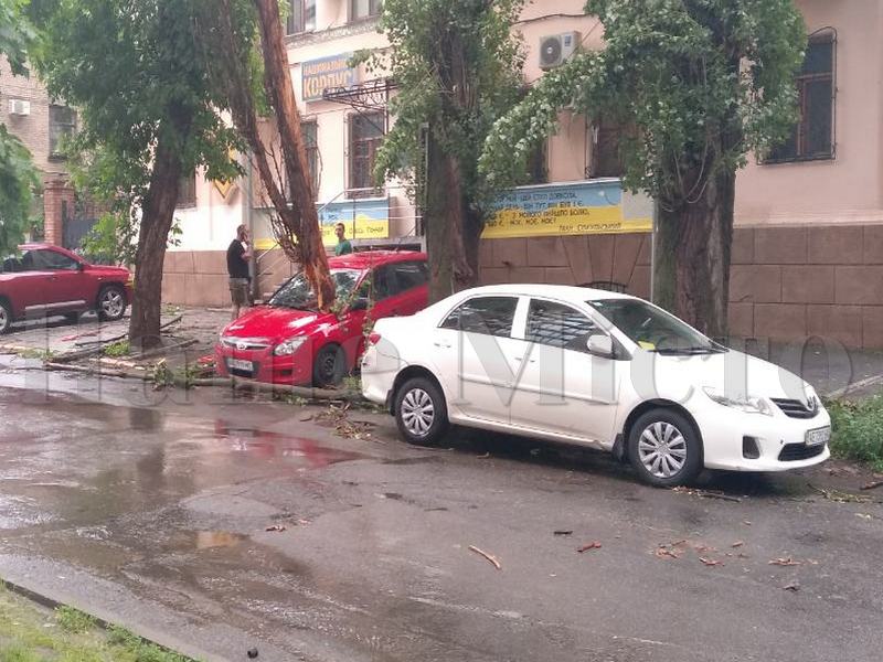 В Днепре дерево пробило автомобиль. Новости Днепра