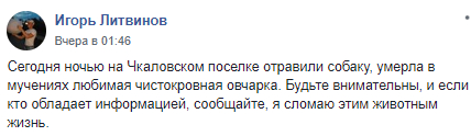 Под Днепром грабители устраивают массовую травлю собак