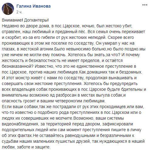 В Днепре догхантеры продолжают массово травить собак (Фото)