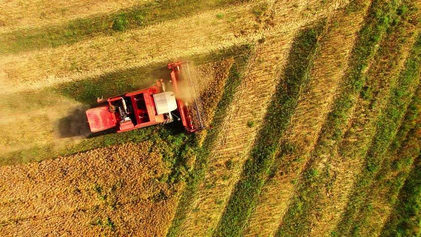 6 000 гривен налога за земельный пай от «Слуг народа»: кому придется платить