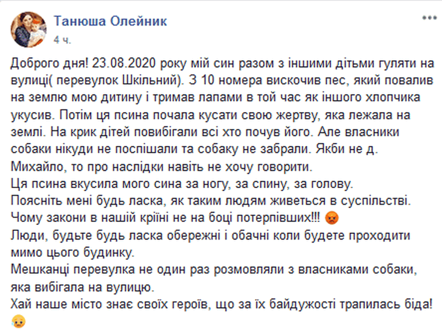 Чуть не разорвал: в Днепропетровской области дворовой пес сильно покусал ребенка (Фото)
