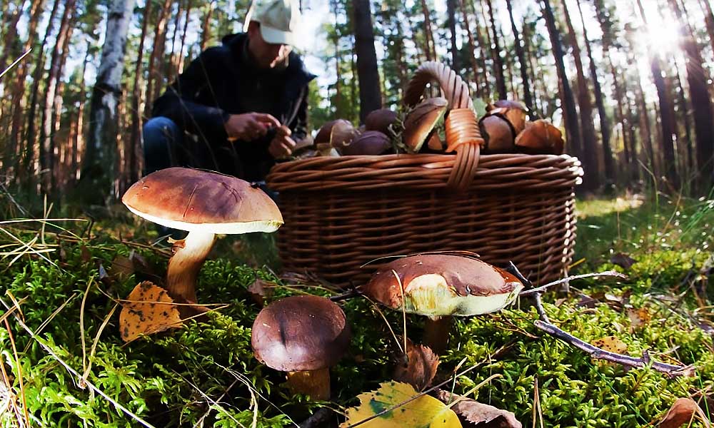 6 августа, день Бориса и Глеба: привлечение успеха, традиции и приметы на погоду