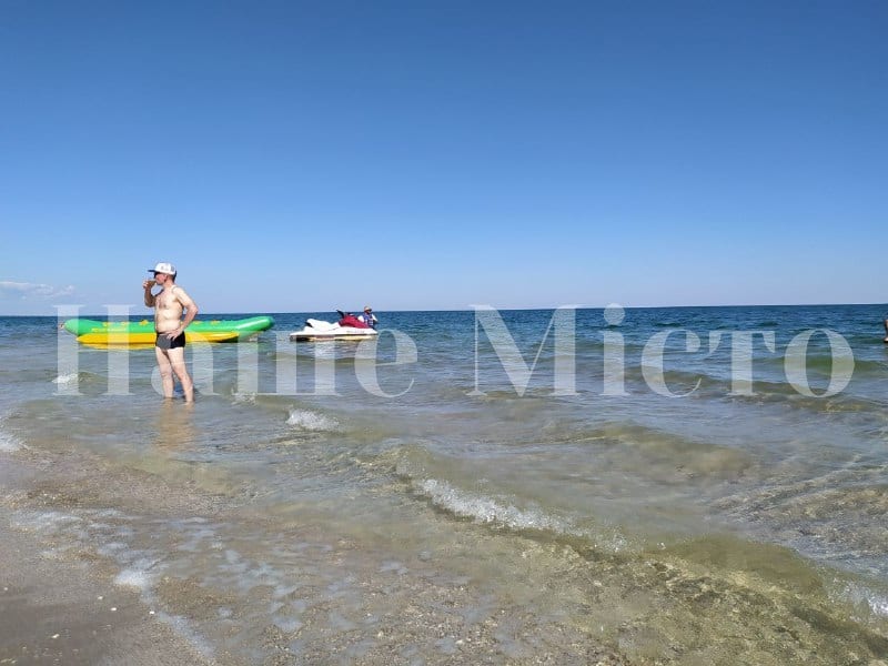 Когда в Азовском море не будет медуз: ученые назвали условия