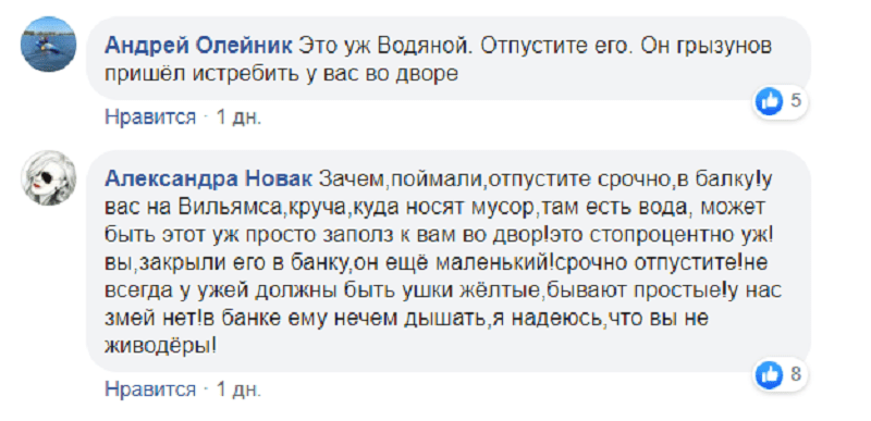 В Днепре во дворе жилого дома поселилась змеиная семья (Фото)