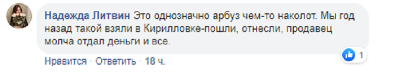 В Днепре на ж/м Приднепровск женщине продали "наколотый" арбуз (Фото)