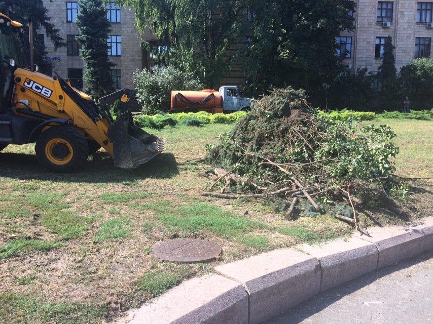 В Днепре на Героев Майдана с корнем вырвало огромные ели