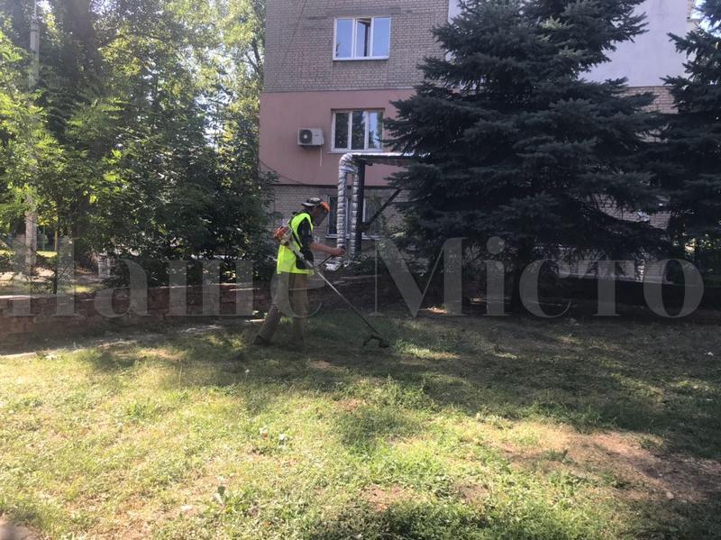 В Днепре коммунальщики уничтожили опасную траву