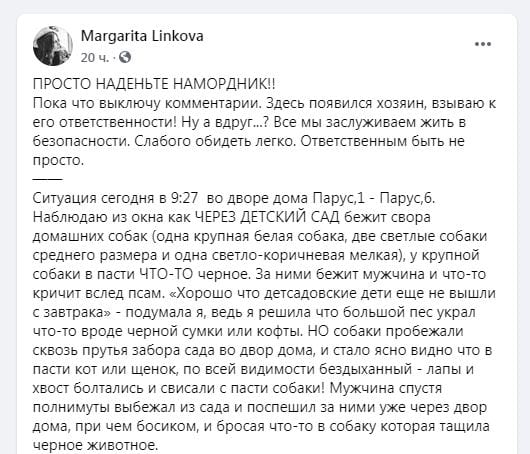 Закопал в пыль и ушел: в Днепре на Парусе стая домашних собак держит в страхе весь двор (Фото, видео)