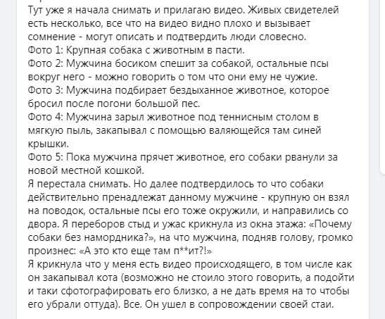 Закопал в пыль и ушел: в Днепре на Парусе стая домашних собак держит в страхе весь двор (Фото, видео)