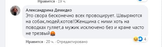 Закопал в пыль и ушел: в Днепре на Парусе стая домашних собак держит в страхе весь двор (Фото, видео)