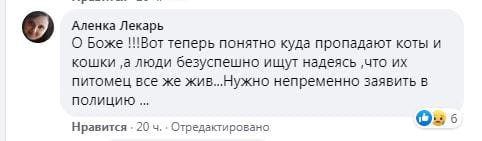 Закопал в пыль и ушел: в Днепре на Парусе стая домашних собак держит в страхе весь двор (Фото, видео)