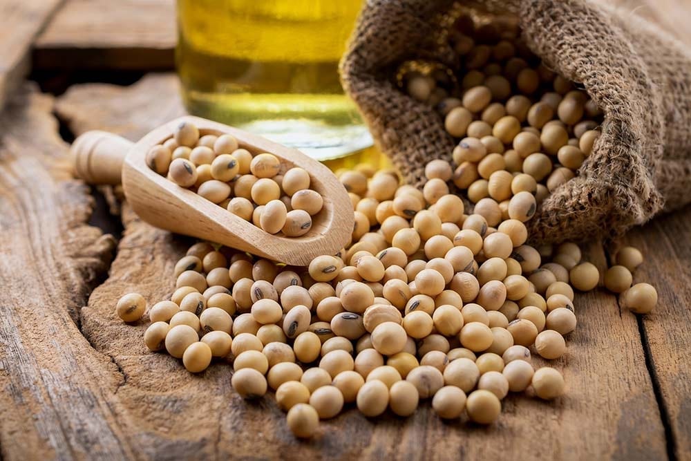 Самый неоднозначный продукт: чем опасна соя
