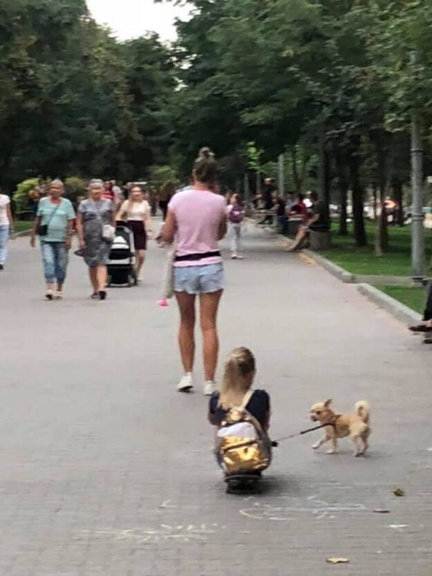 В Днепре собачка тащила хозяйку на скейте, соцсети взорвались