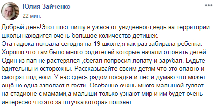 Под Днепром на школьном дворе завелась гадюка. Новости Днепра