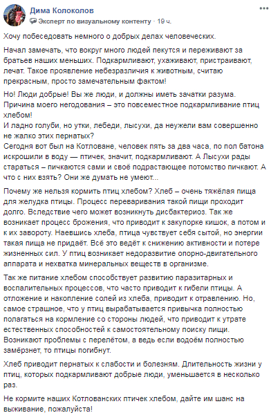 В Днепре призывают отказаться кормить птиц хлебом. Новости Днепра