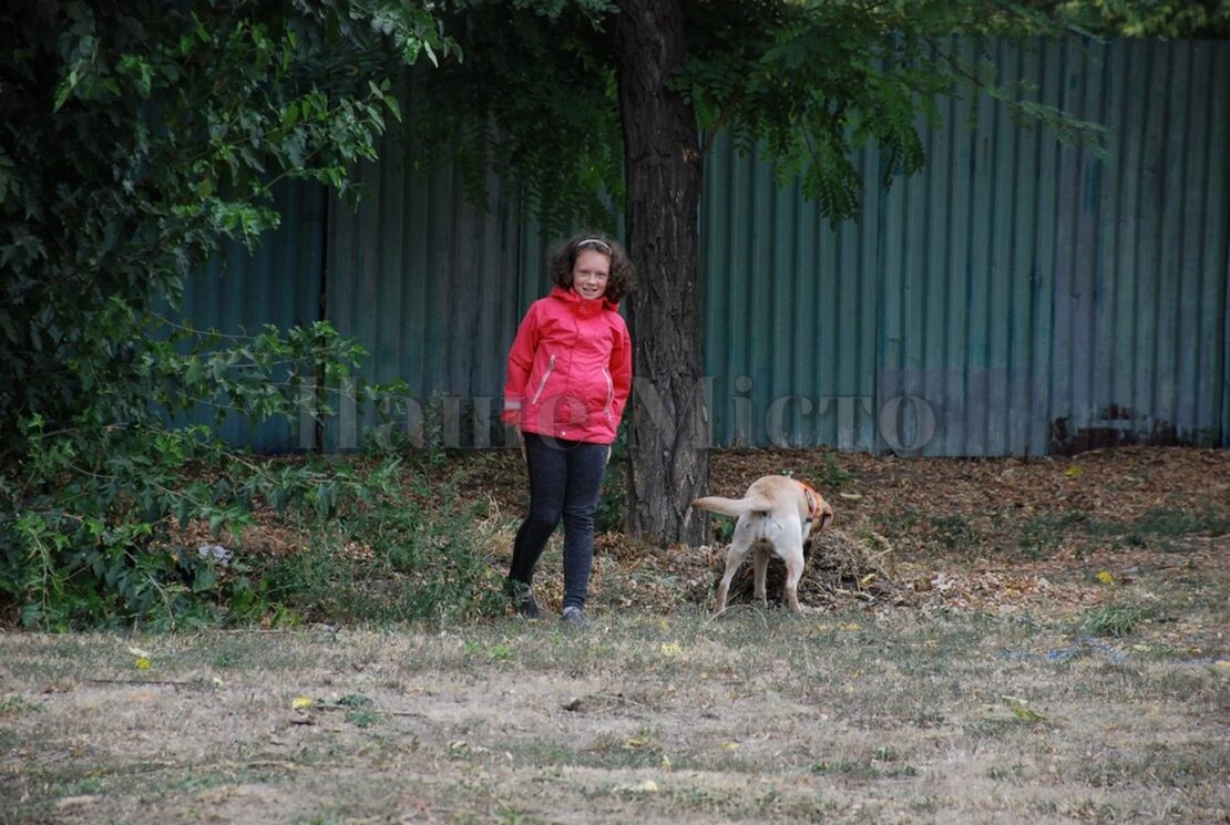 В Днепре поисковые собаки искали 9 детей. Новости Днепра